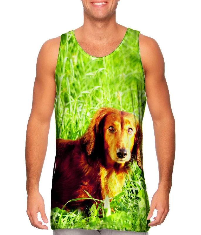 High - Neck Women's Silk Blend Tank Tops for a Luxurious FeelDachshund In Grass