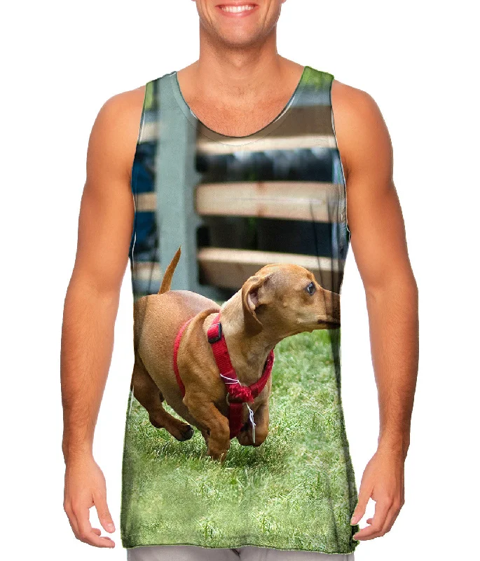 Plunge Neck Women's Seamless Tank Tops for a Smooth FitDachshund Sprint