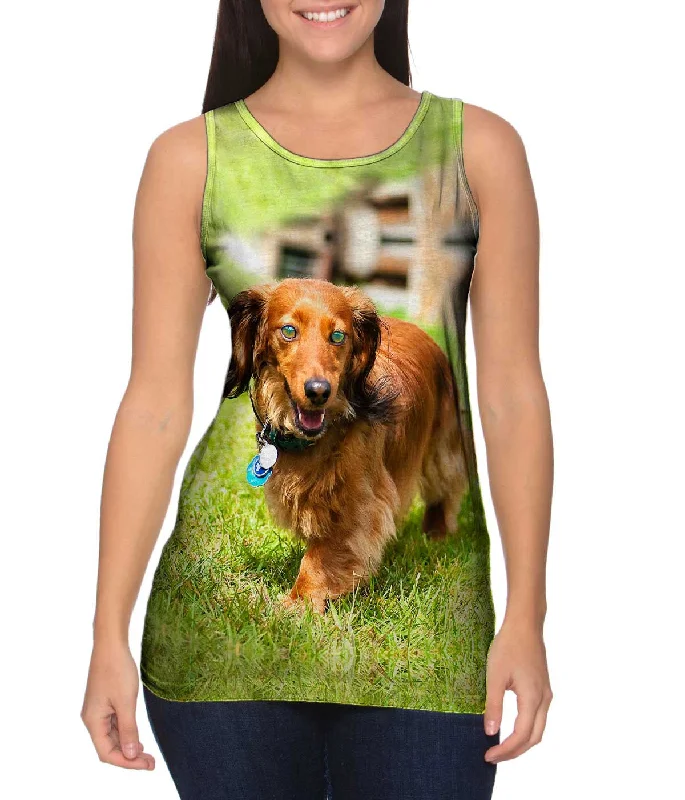 Women's Button - Down Tank Tops in Striped PatternsDachshund Surveys Backyard
