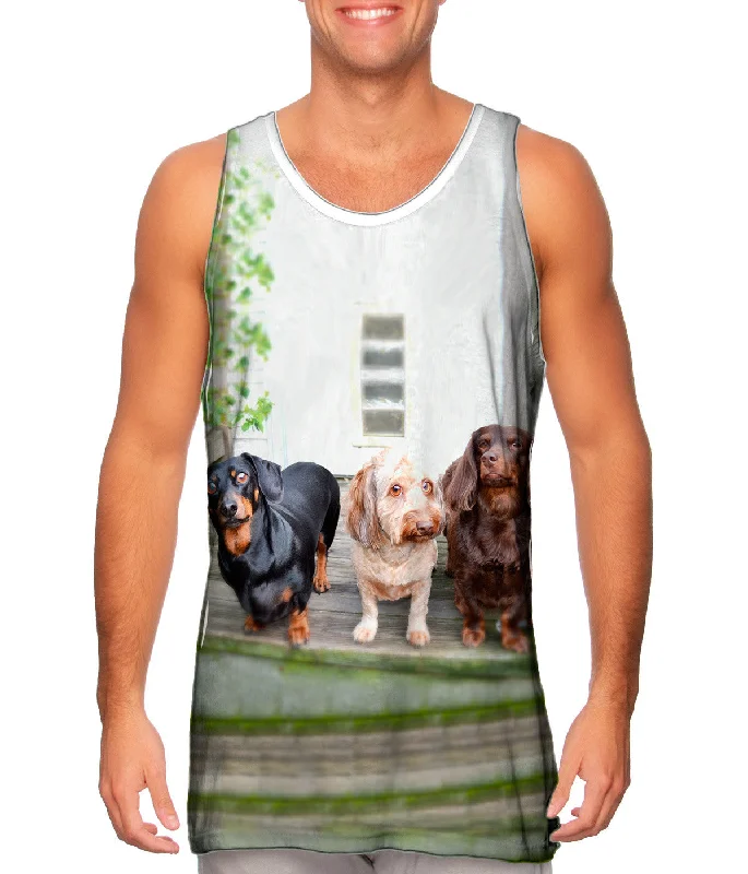 Plus Size Women's Glitter - Trimmed Tank Tops for Party NightsDachshund Variety Pack Plus Size Women's Glitter - Trimmed Tank Tops for Party NightsDachshund Variety Pack